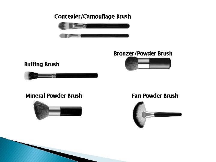 Concealer/Camouflage Brush Bronzer/Powder Brush Buffing Brush Mineral Powder Brush Fan Powder Brush 