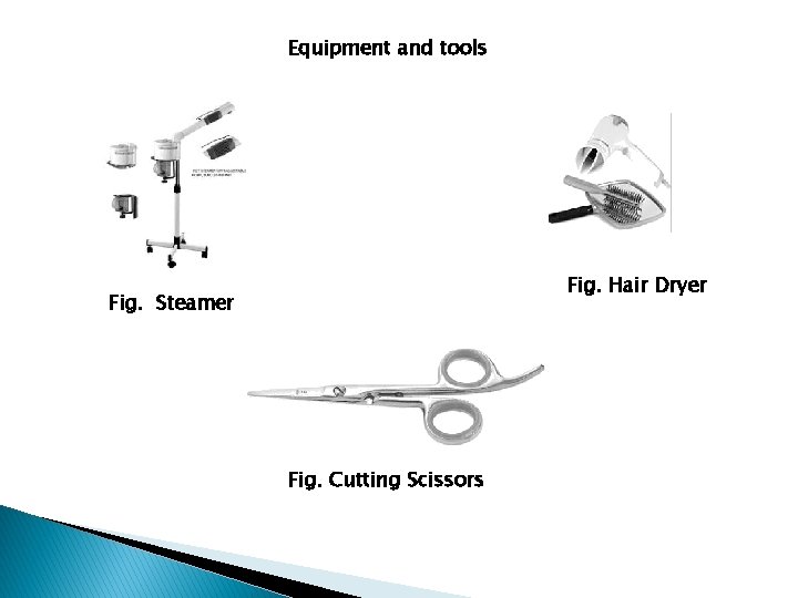 Equipment and tools Fig. Hair Dryer Fig. Steamer Fig. Cutting Scissors 