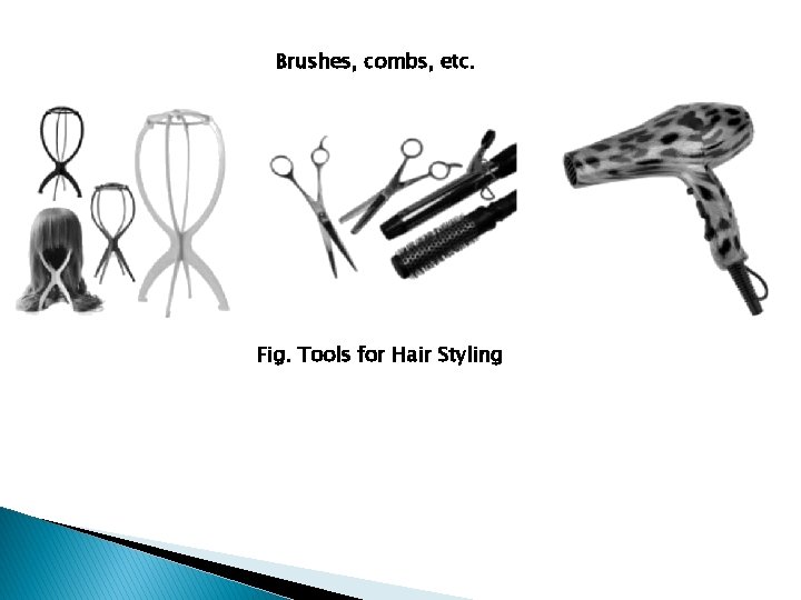 Brushes, combs, etc. Fig. Tools for Hair Styling 