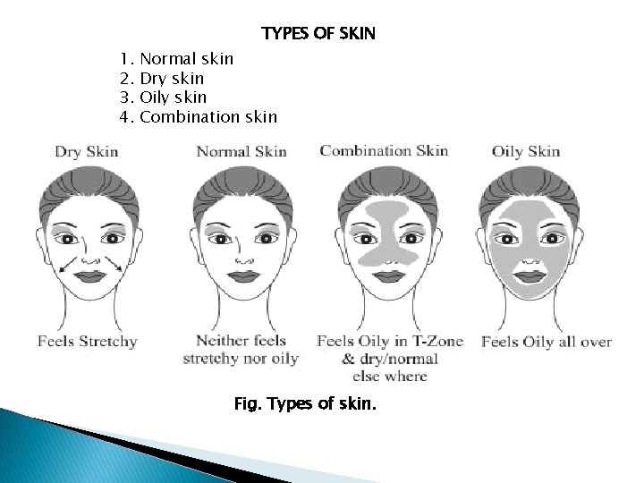 TYPES OF SKIN 1. 2. 3. 4. Normal skin Dry skin Oily skin Combination