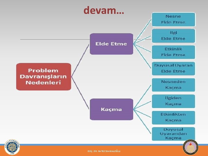 devam… DOÇ. DR. HATICE BAKKALOĞLU 12 