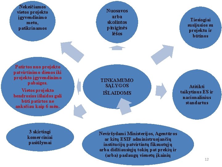 Nekeičiamos vietos projekto įgyvendinimo metu, patikrinamos Patirtos nuo projekto patvirtinimo dienos iki projekto įgyvendinimo