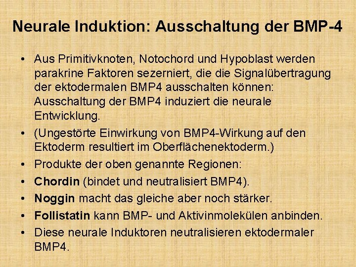 Neurale Induktion: Ausschaltung der BMP-4 • Aus Primitivknoten, Notochord und Hypoblast werden parakrine Faktoren