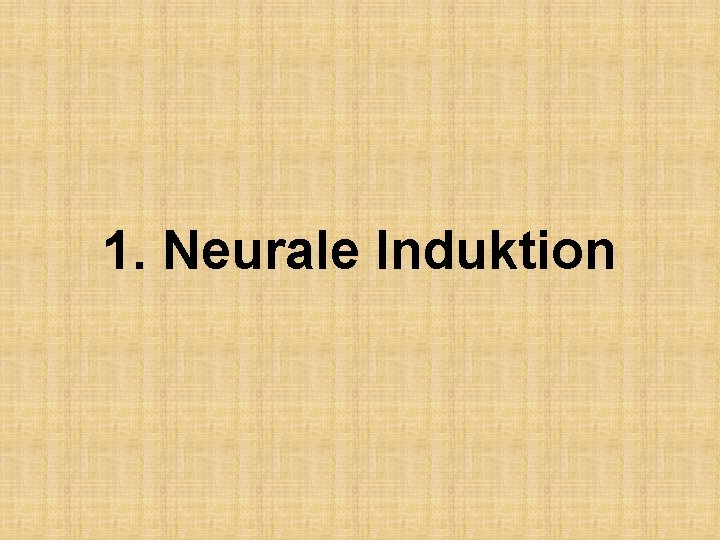 1. Neurale Induktion 