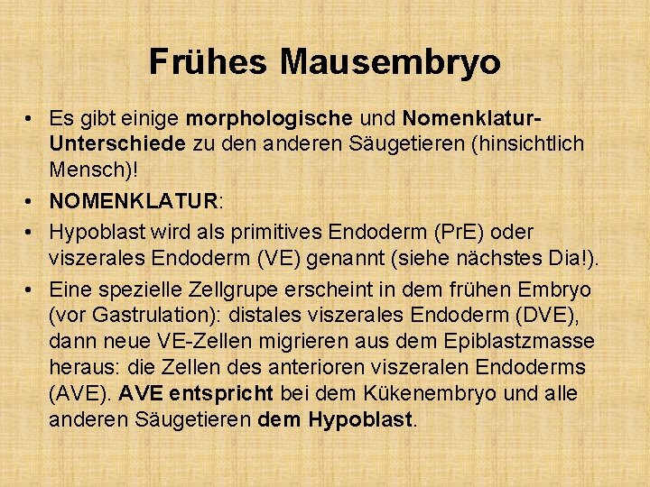 Frühes Mausembryo • Es gibt einige morphologische und Nomenklatur. Unterschiede zu den anderen Säugetieren