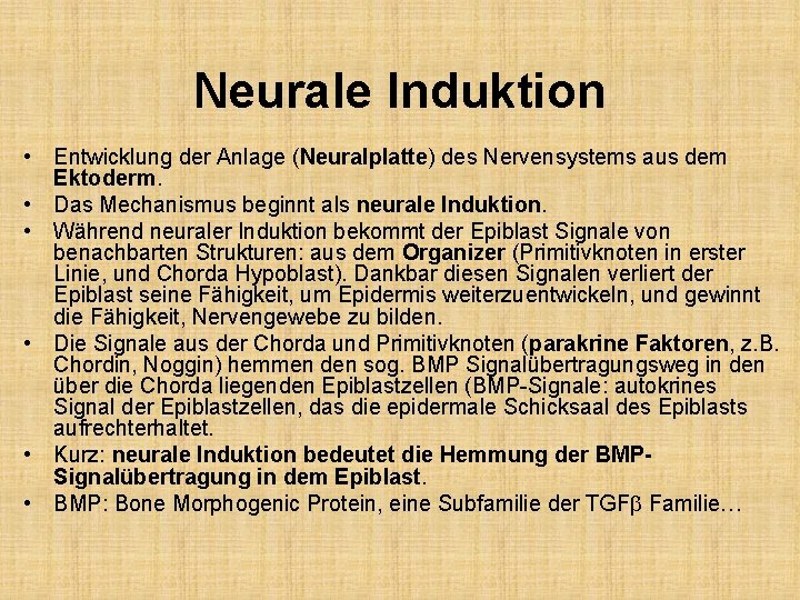 Neurale Induktion • Entwicklung der Anlage (Neuralplatte) des Nervensystems aus dem Ektoderm. • Das