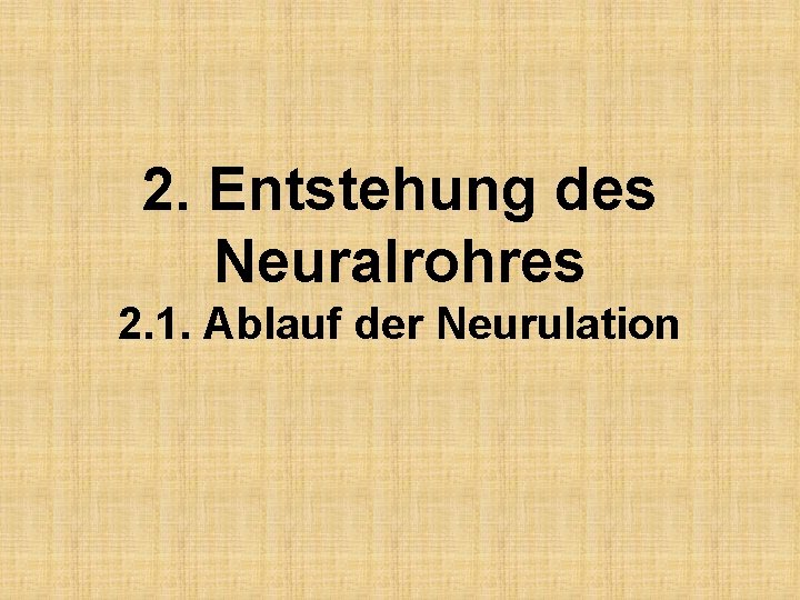 2. Entstehung des Neuralrohres 2. 1. Ablauf der Neurulation 