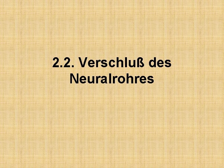 2. 2. Verschluß des Neuralrohres 
