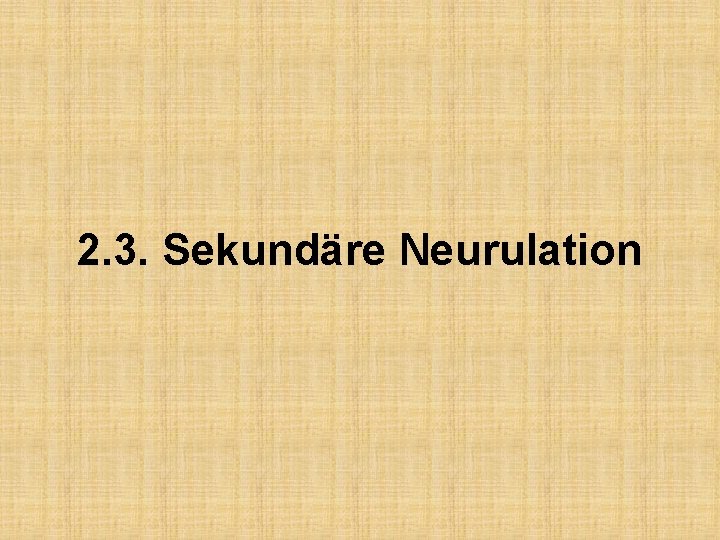 2. 3. Sekundäre Neurulation 