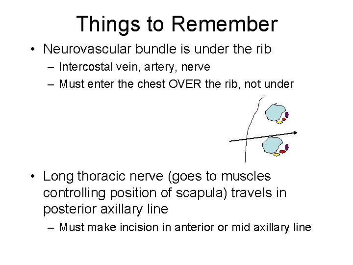 Things to Remember • Neurovascular bundle is under the rib – Intercostal vein, artery,