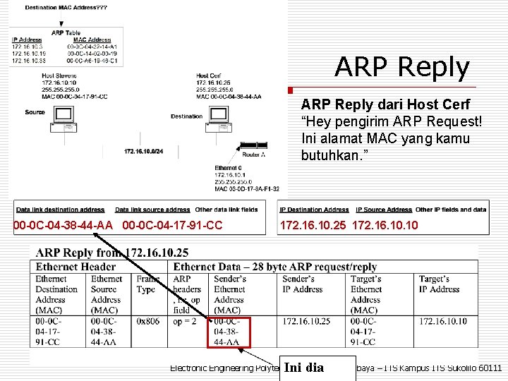 ARP Reply dari Host Cerf “Hey pengirim ARP Request! Ini alamat MAC yang kamu