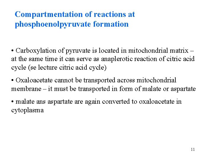 Compartmentation of reactions at phosphoenolpyruvate formation • Carboxylation of pyruvate is located in mitochondrial