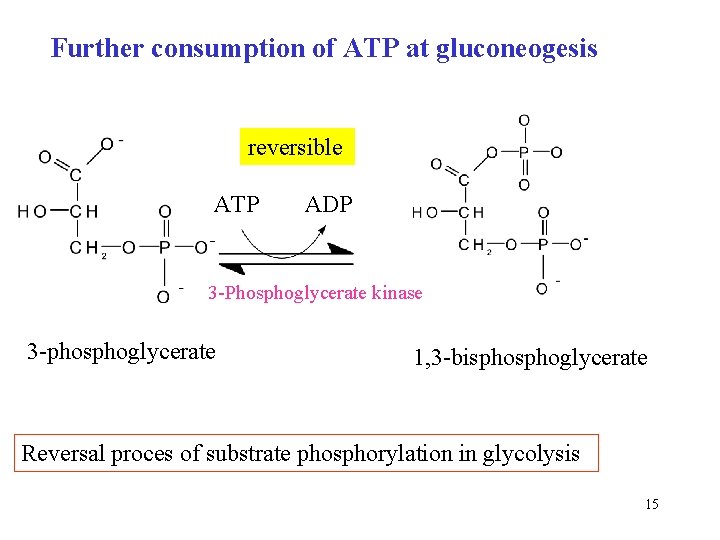 Further consumption of ATP at gluconeogesis reversible ATP ADP 3 -Phosphoglycerate kinase 3 -phosphoglycerate