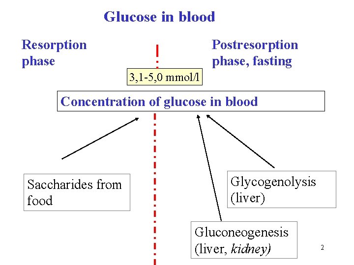 Glucose in blood Resorption phase Postresorption phase, fasting 3, 1 -5, 0 mmol/l Concentration