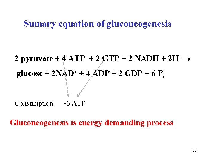 Sumary equation of gluconeogenesis 2 pyruvate + 4 ATP + 2 GTP + 2