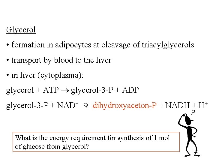 Glycerol • formation in adipocytes at cleavage of triacylglycerols • transport by blood to