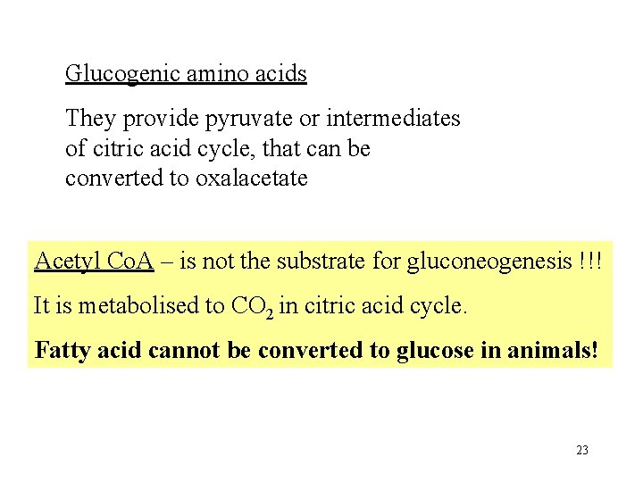 Glucogenic amino acids They provide pyruvate or intermediates of citric acid cycle, that can