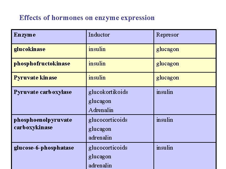 Effects of hormones on enzyme expression Enzyme Inductor Represor glucokinase insulin glucagon phosphofructokinase insulin