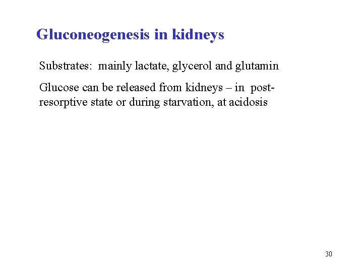 Gluconeogenesis in kidneys Substrates: mainly lactate, glycerol and glutamin Glucose can be released from