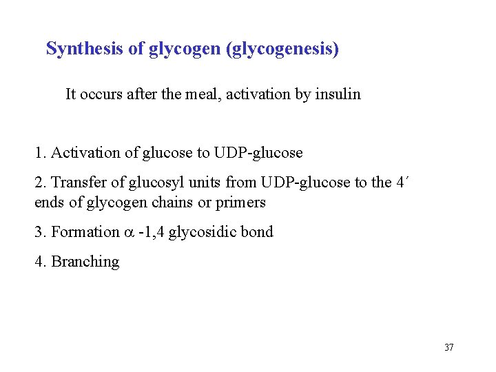 Synthesis of glycogen (glycogenesis) It occurs after the meal, activation by insulin 1. Activation