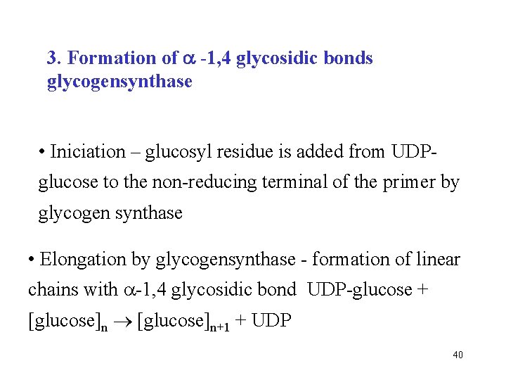 3. Formation of -1, 4 glycosidic bonds glycogensynthase • Iniciation – glucosyl residue is