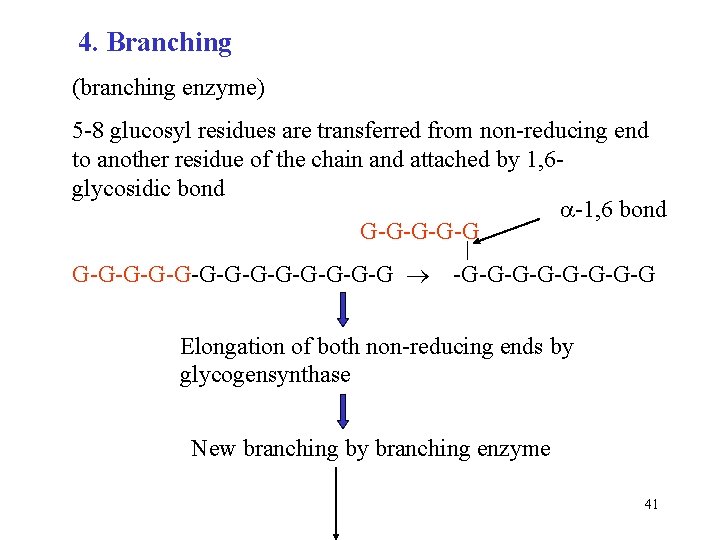 4. Branching (branching enzyme) 5 -8 glucosyl residues are transferred from non-reducing end to