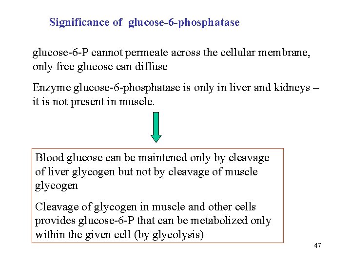 Significance of glucose-6 -phosphatase glucose-6 -P cannot permeate across the cellular membrane, only free