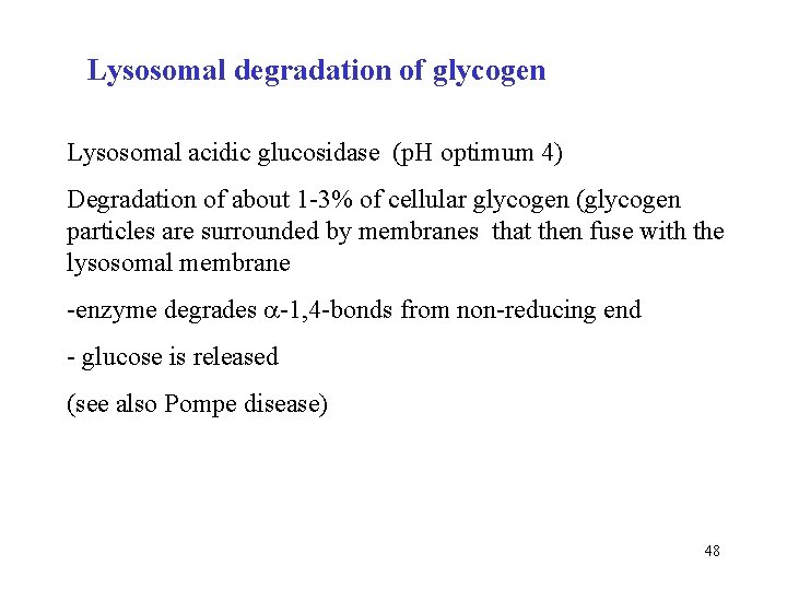 Lysosomal degradation of glycogen Lysosomal acidic glucosidase (p. H optimum 4) Degradation of about