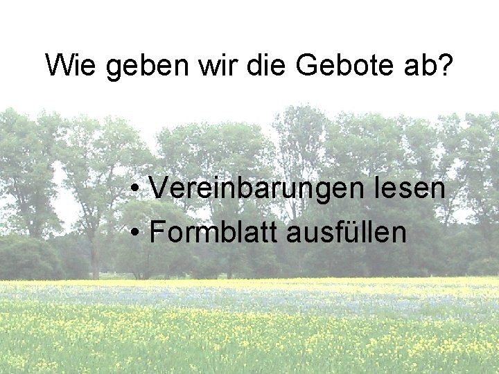 Wie geben wir die Gebote ab? • Vereinbarungen lesen • Formblatt ausfüllen 