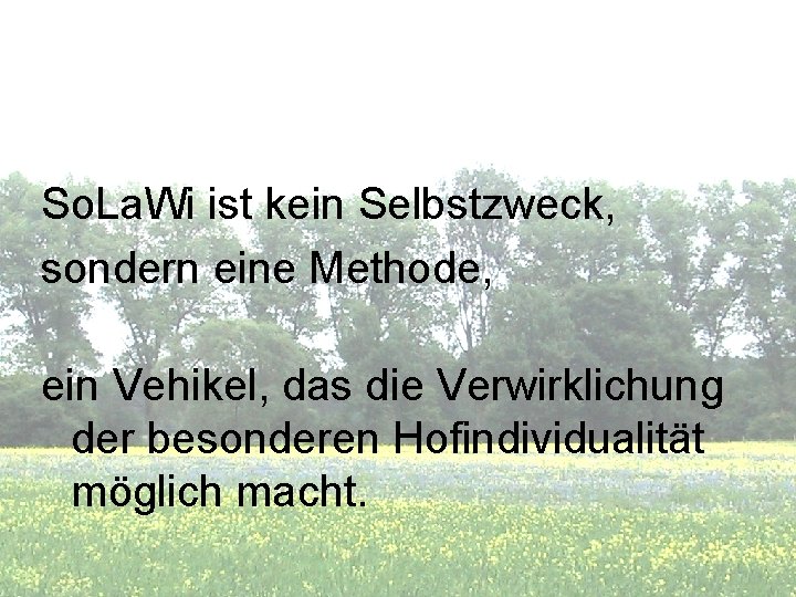 So. La. Wi ist kein Selbstzweck, sondern eine Methode, ein Vehikel, das die Verwirklichung