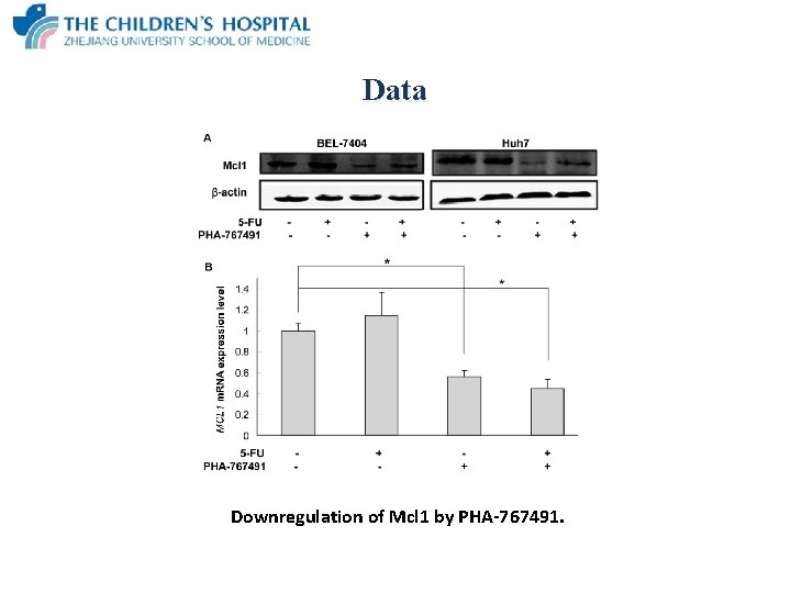 Data Downregulation of Mcl 1 by PHA-767491. 