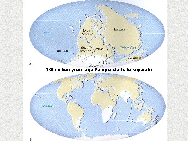 180 million years ago Pangea starts to separate 