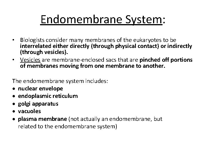 Endomembrane System: • Biologists consider many membranes of the eukaryotes to be interrelated either