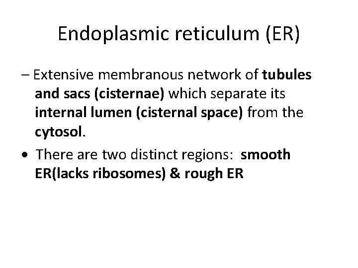 Endoplasmic reticulum (ER) – Extensive membranous network of tubules and sacs (cisternae) which separate