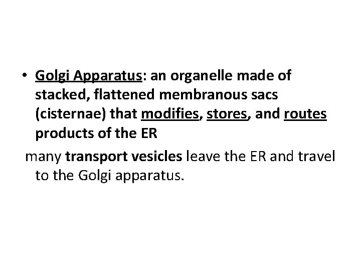  • Golgi Apparatus: an organelle made of stacked, flattened membranous sacs (cisternae) that