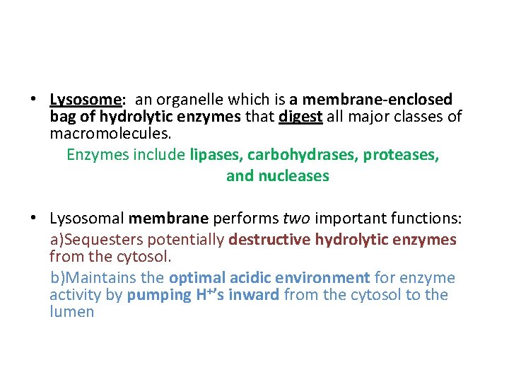  • Lysosome: an organelle which is a membrane-enclosed bag of hydrolytic enzymes that