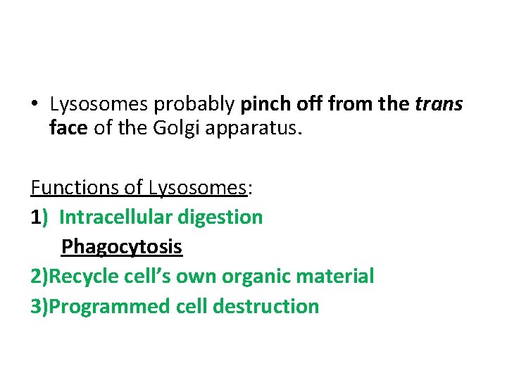  • Lysosomes probably pinch off from the trans face of the Golgi apparatus.