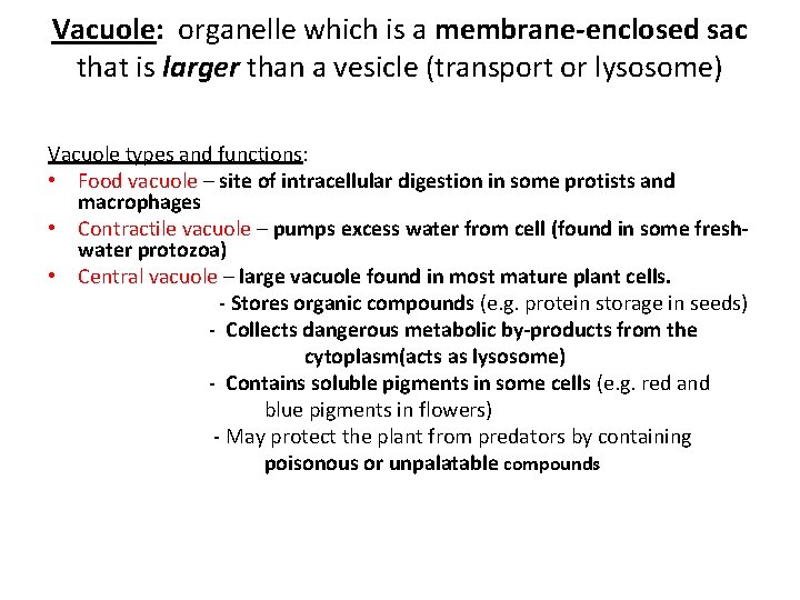 Vacuole: organelle which is a membrane-enclosed sac that is larger than a vesicle (transport