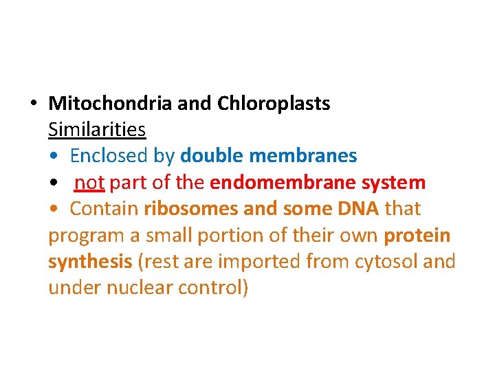  • Mitochondria and Chloroplasts Similarities • Enclosed by double membranes • not part