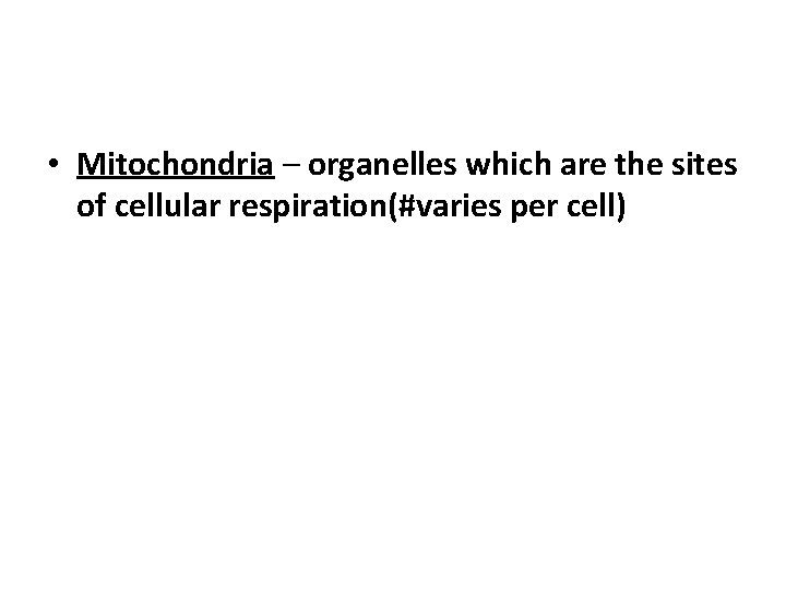  • Mitochondria – organelles which are the sites of cellular respiration(#varies per cell)