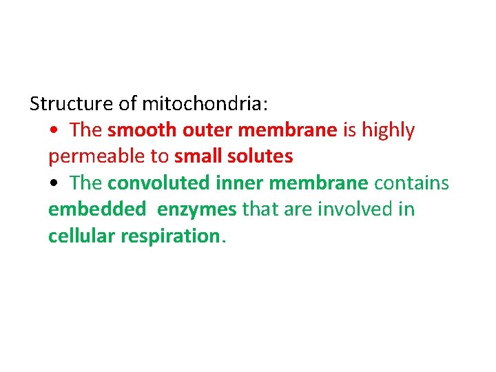 Structure of mitochondria: • The smooth outer membrane is highly permeable to small solutes