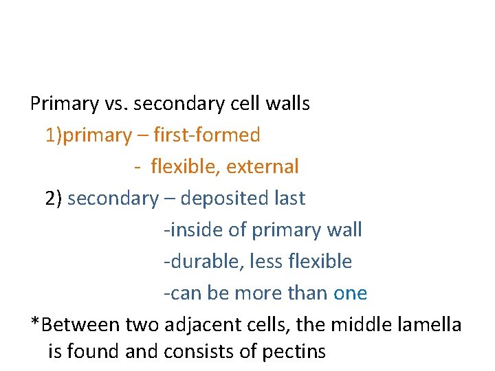 Primary vs. secondary cell walls 1)primary – first-formed - flexible, external 2) secondary –