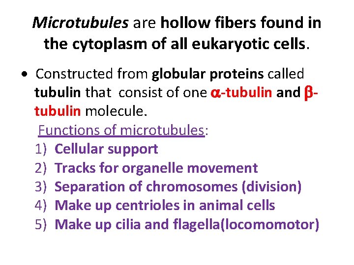 Microtubules are hollow fibers found in the cytoplasm of all eukaryotic cells. Constructed from