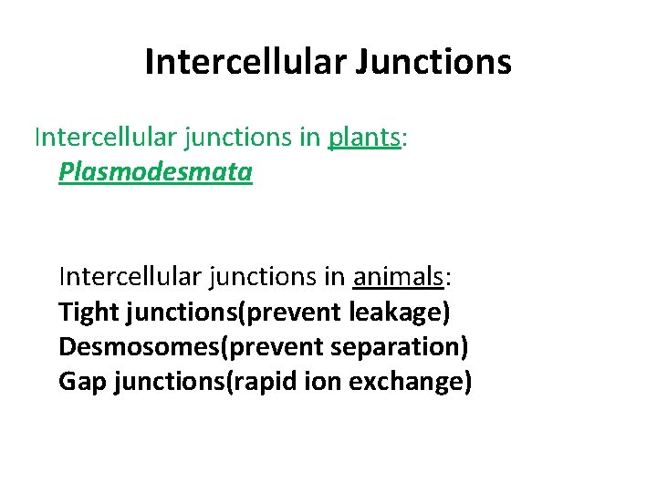 Intercellular Junctions Intercellular junctions in plants: Plasmodesmata Intercellular junctions in animals: Tight junctions(prevent leakage)