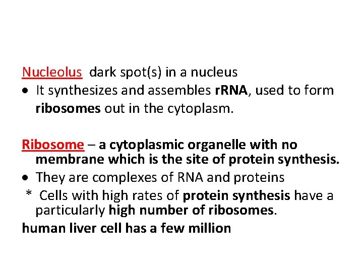 Nucleolus dark spot(s) in a nucleus It synthesizes and assembles r. RNA, used to
