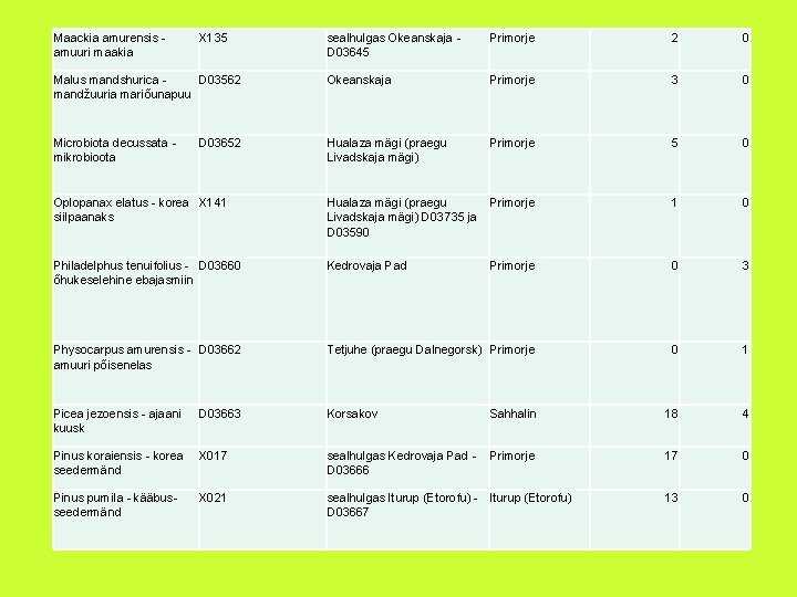 Maackia amurensis amuuri maakia X 135 sealhulgas Okeanskaja D 03645 Primorje 2 0 Malus