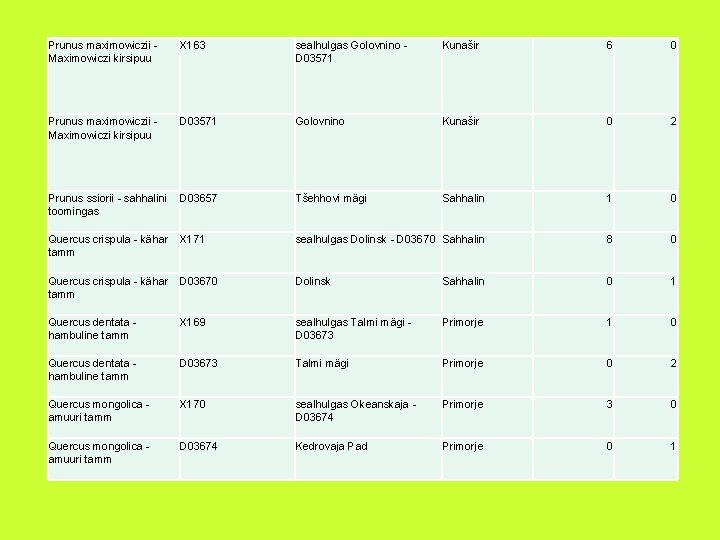 Prunus maximowiczii Maximowiczi kirsipuu X 163 sealhulgas Golovnino D 03571 Kunašir 6 0 Prunus