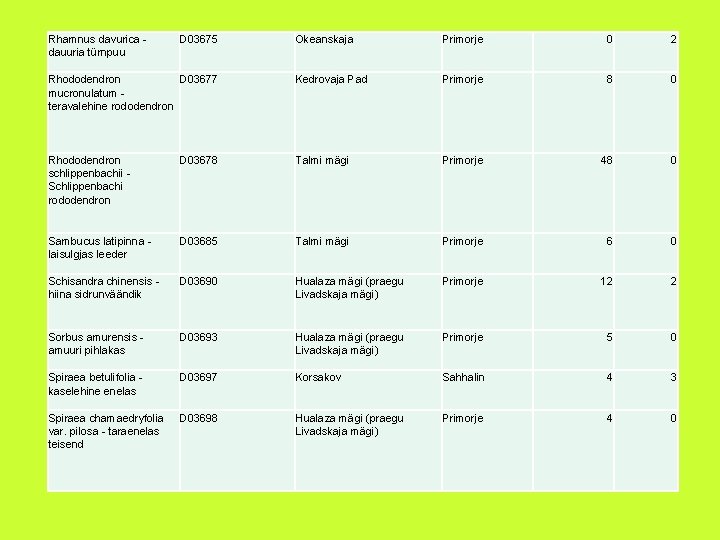 Rhamnus davurica dauuria türnpuu D 03675 Okeanskaja Primorje 0 2 Rhododendron D 03677 mucronulatum