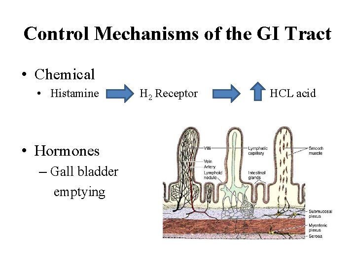 Control Mechanisms of the GI Tract • Chemical • Histamine • Hormones – Gall