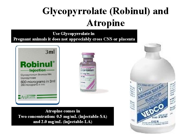 Glycopyrrolate (Robinul) and Atropine Use Glycopyrrolate in Pregnant animals it does not appreciably cross